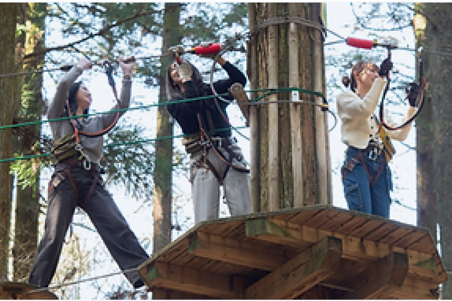 フォレストアドベンチャー