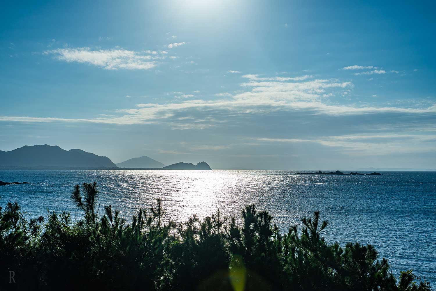 愛犬と貸切サウナヴィラ糸島