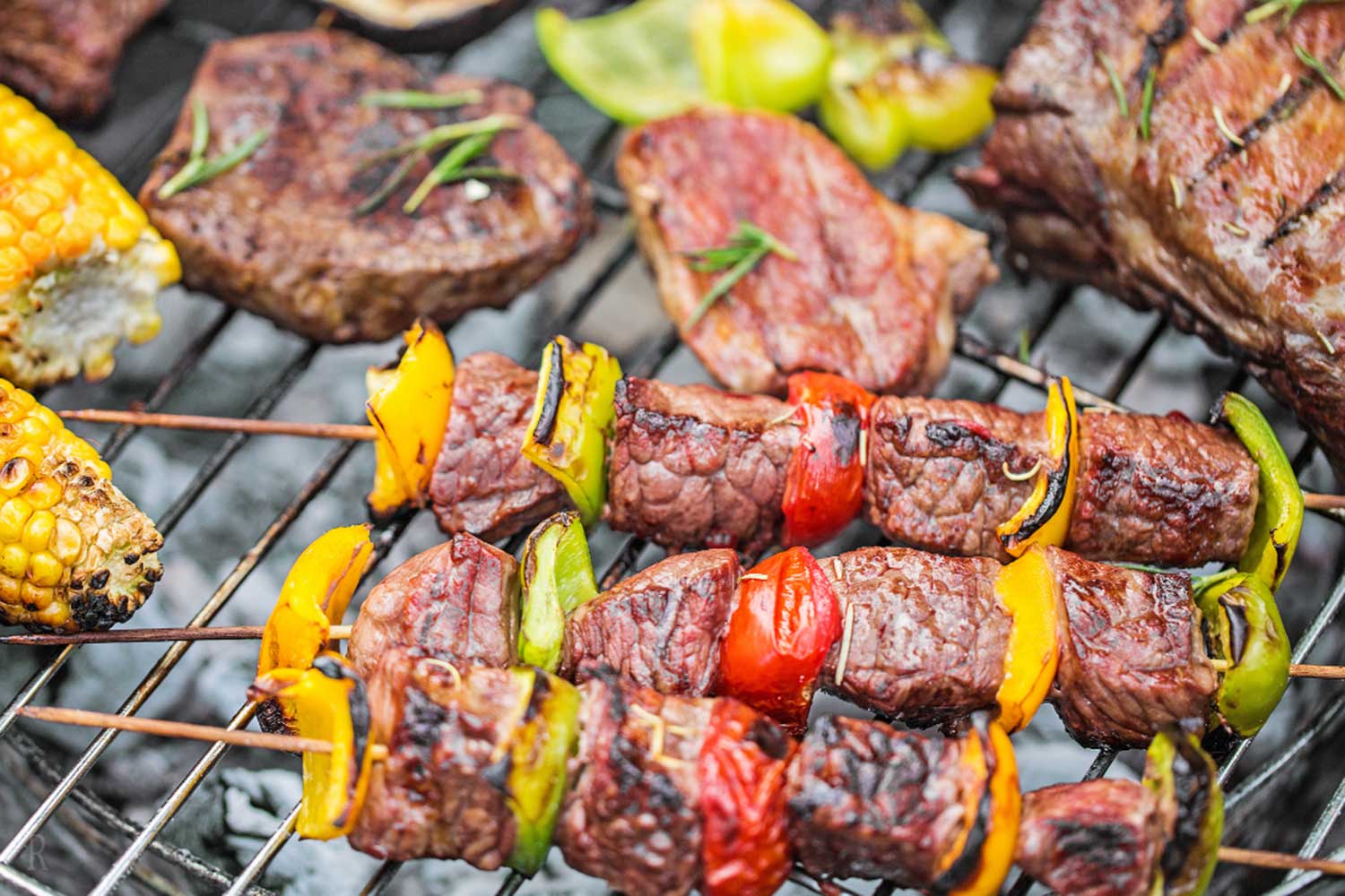 愛犬と貸切サウナヴィラ糸島
