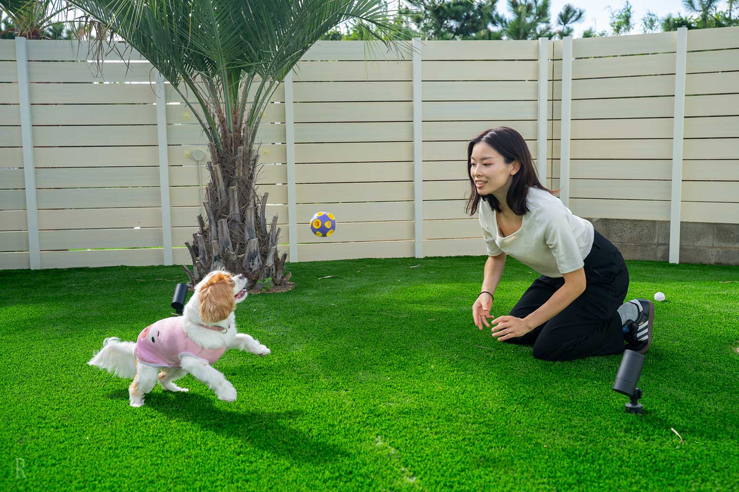 愛犬と貸切サウナヴィラ糸島